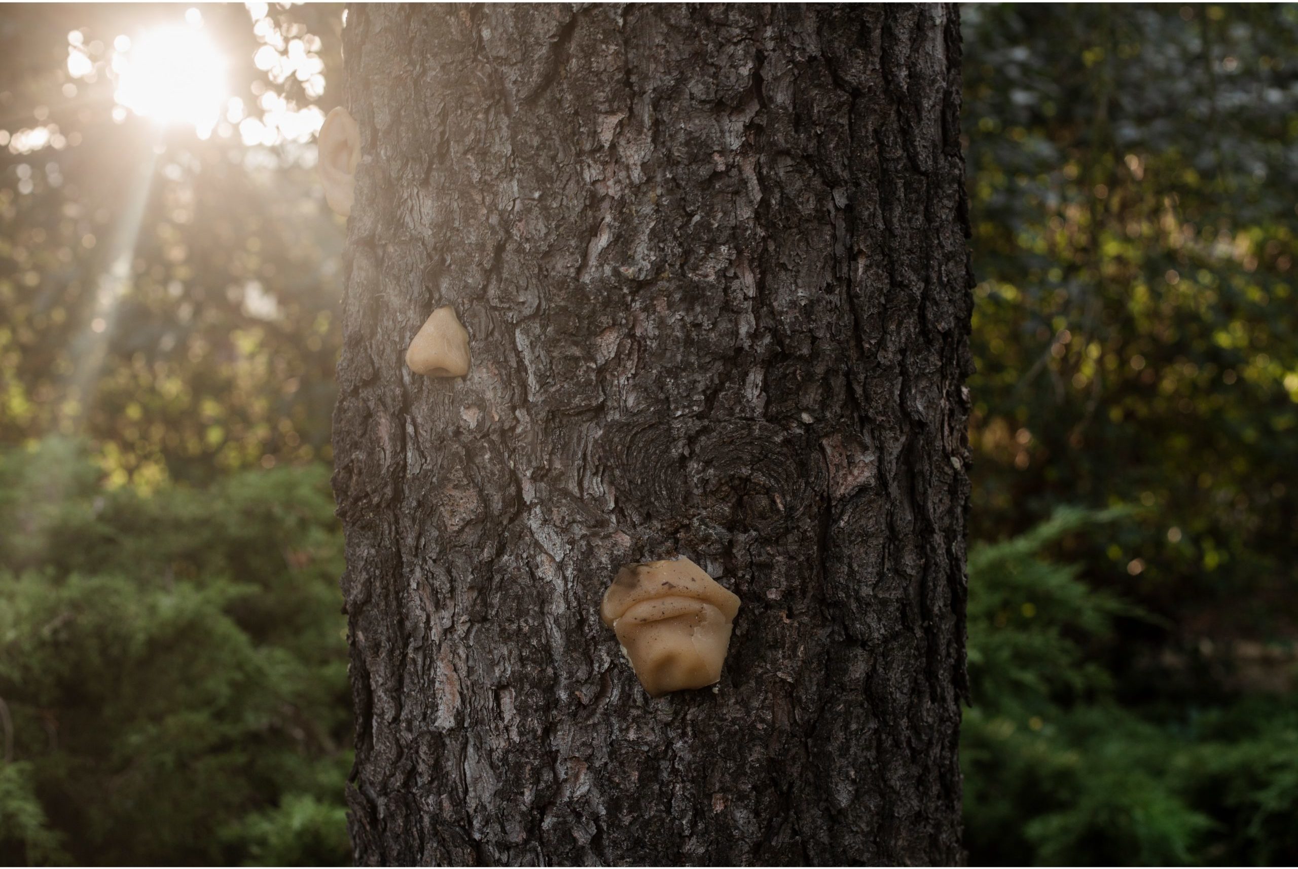 Karolina Majewska - Holy Tree: Baum mit Körperteilen aus Wachs