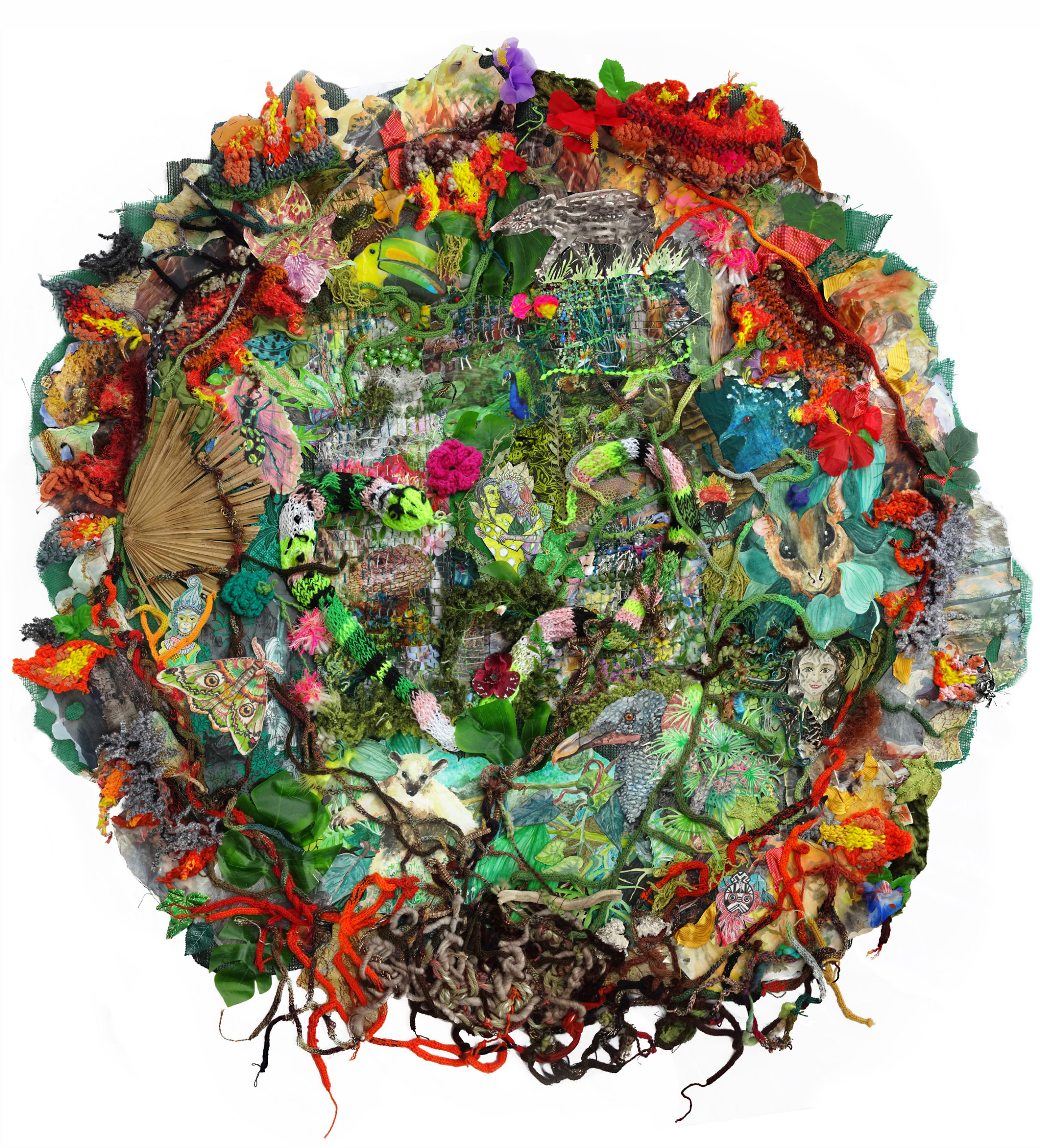 Multimedia collage depicting a forest